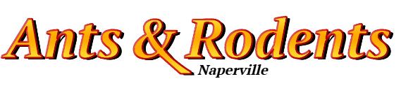 Naperville Ant Exterminator & Rodent Control Company Logo